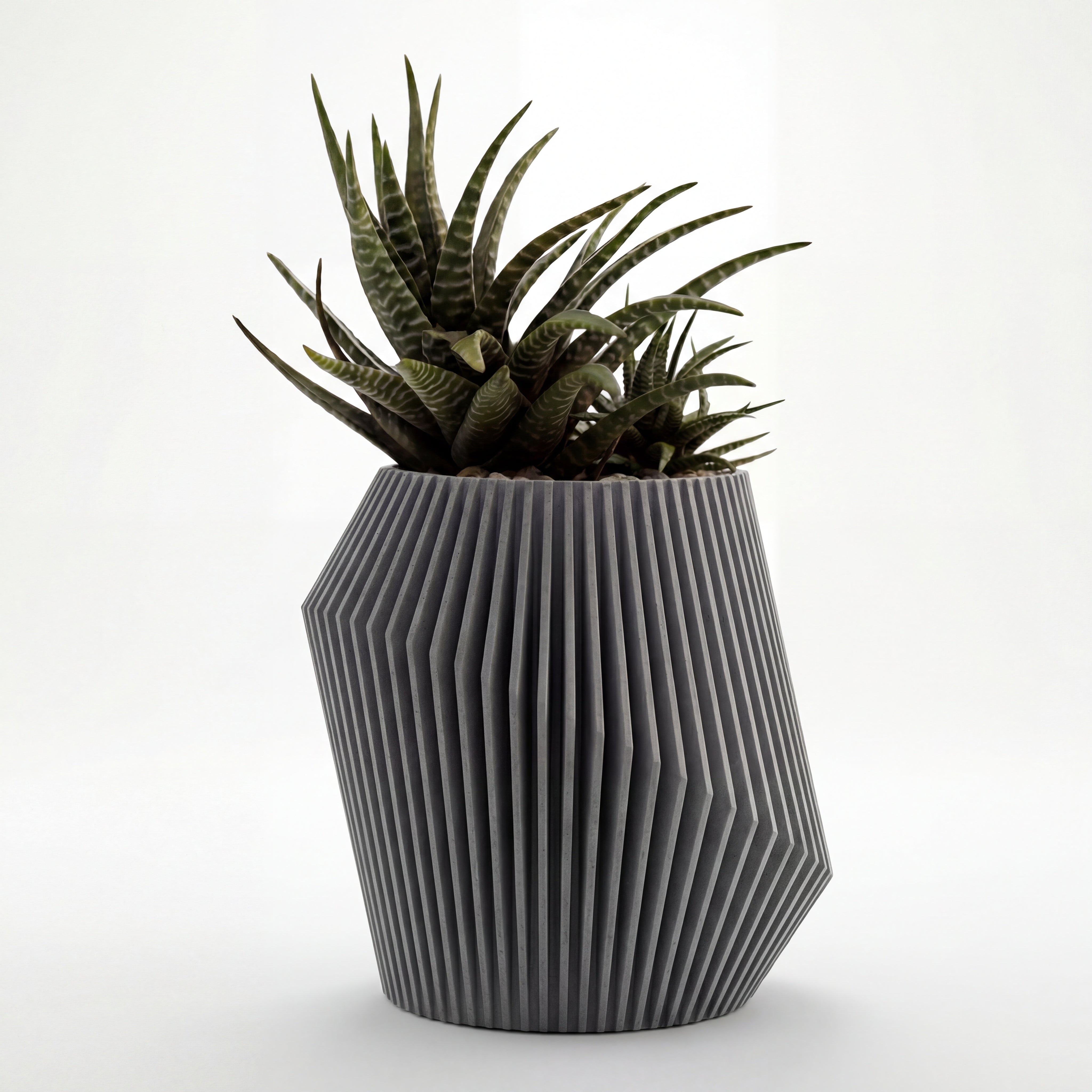 Twins POT