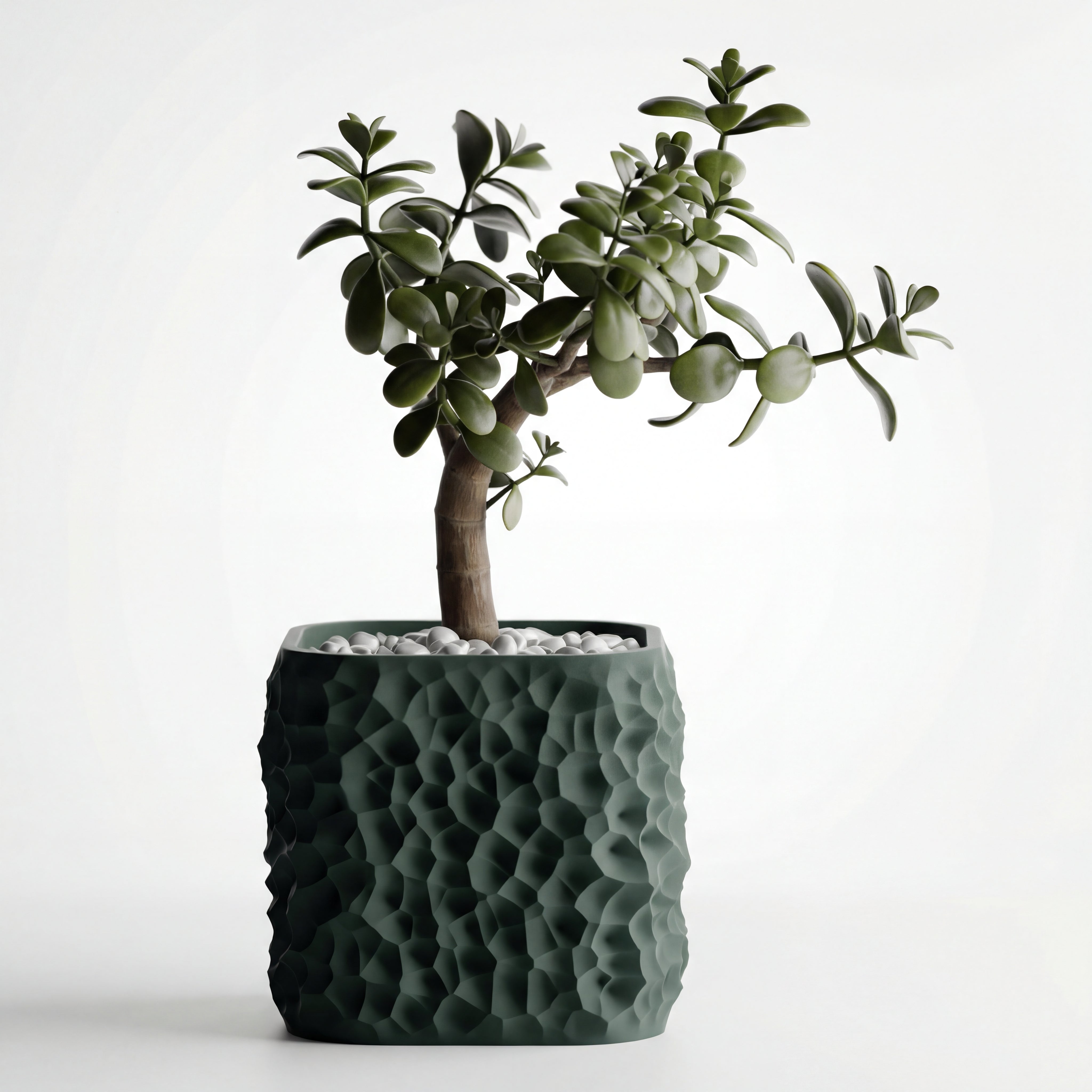 Crater POT