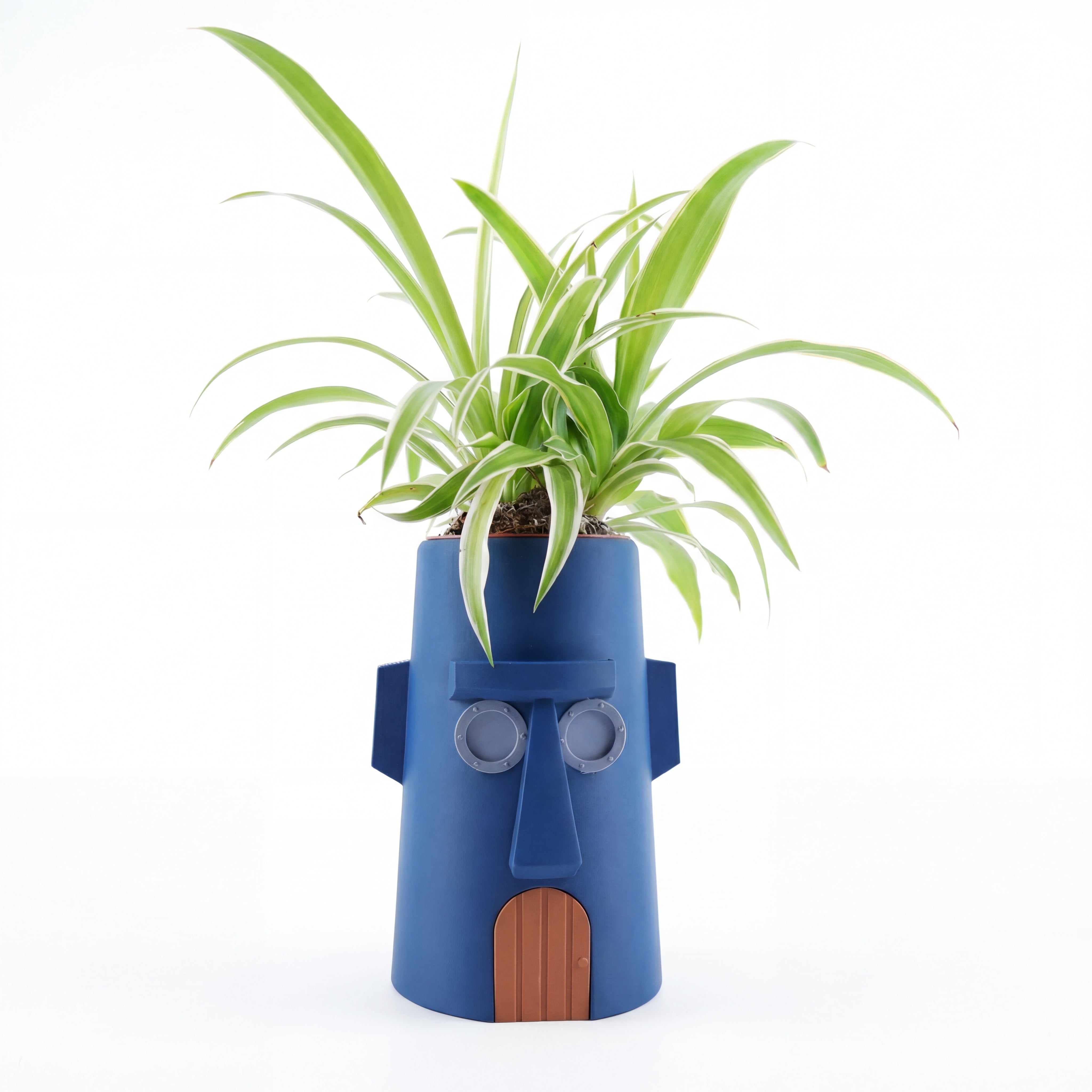 BIKINI POT CALAMARDO