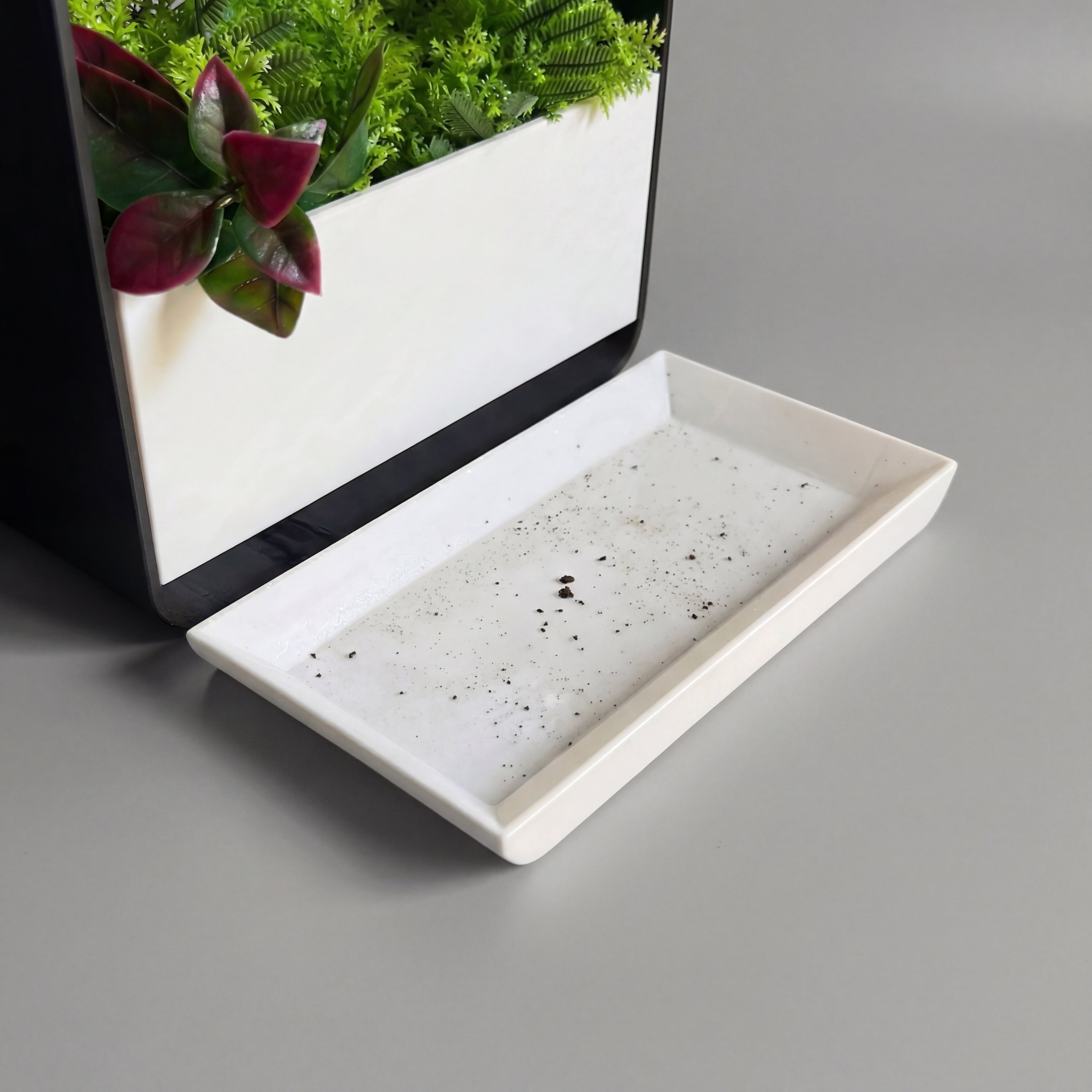Rain POT