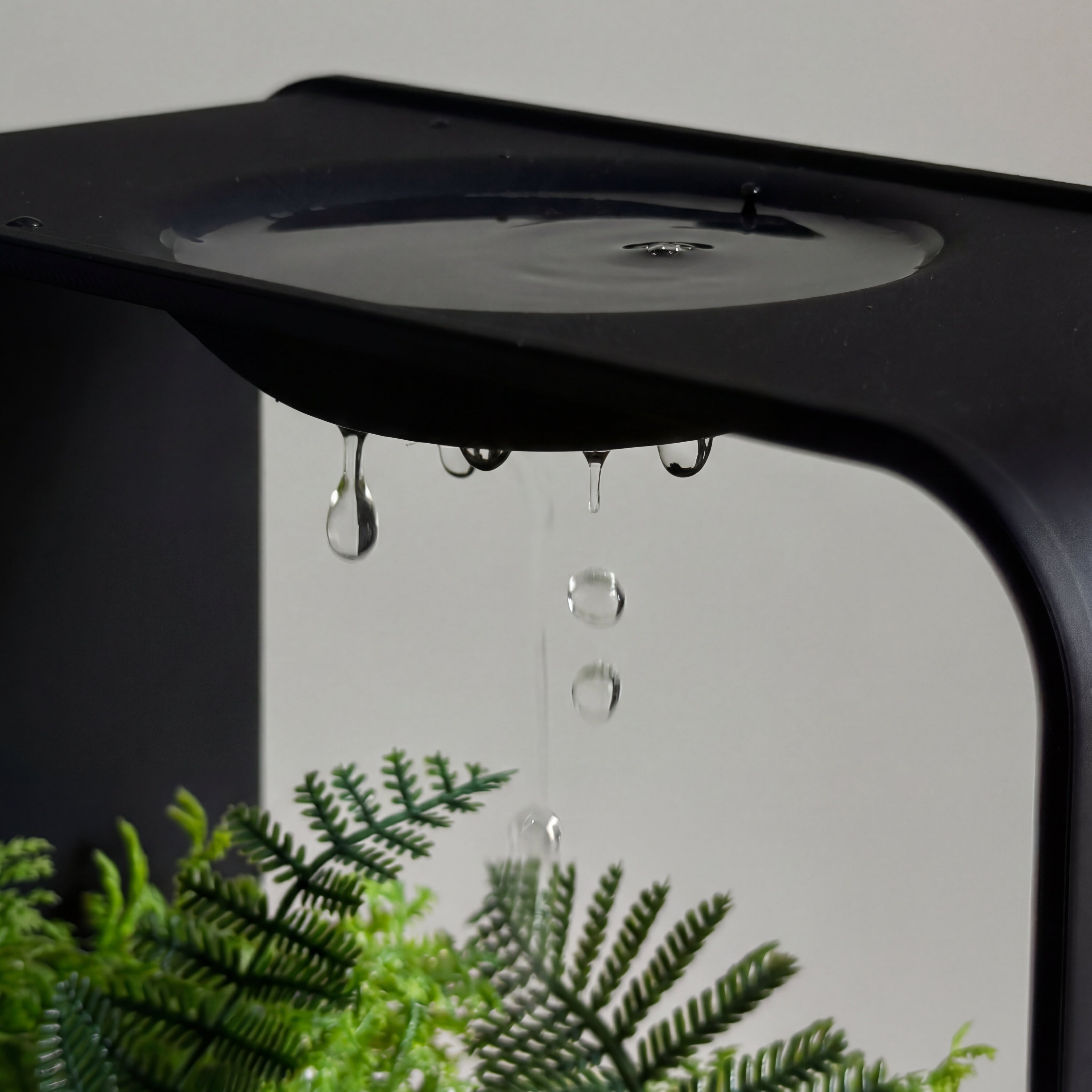 Rain POT