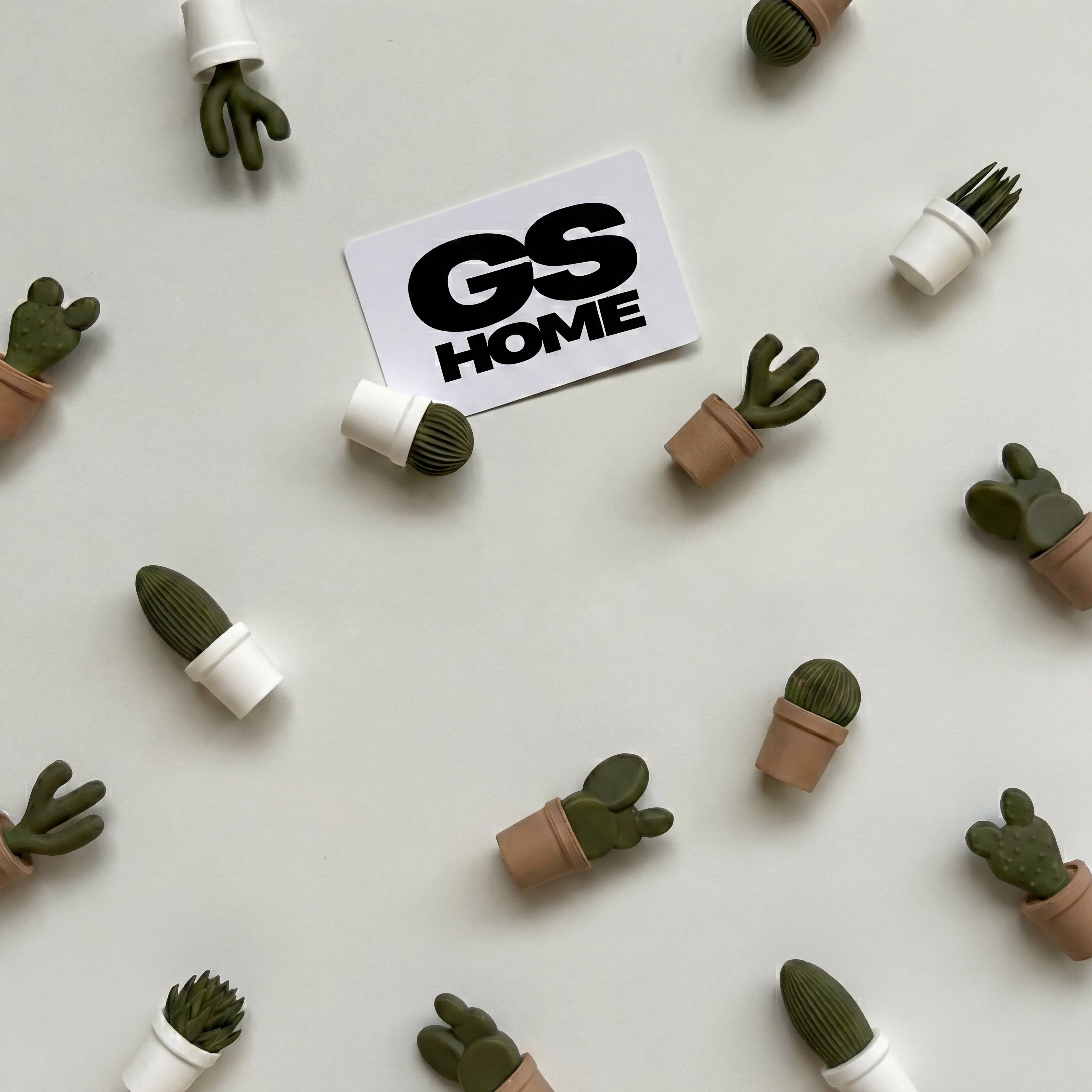 Cactus Set MAGNETS