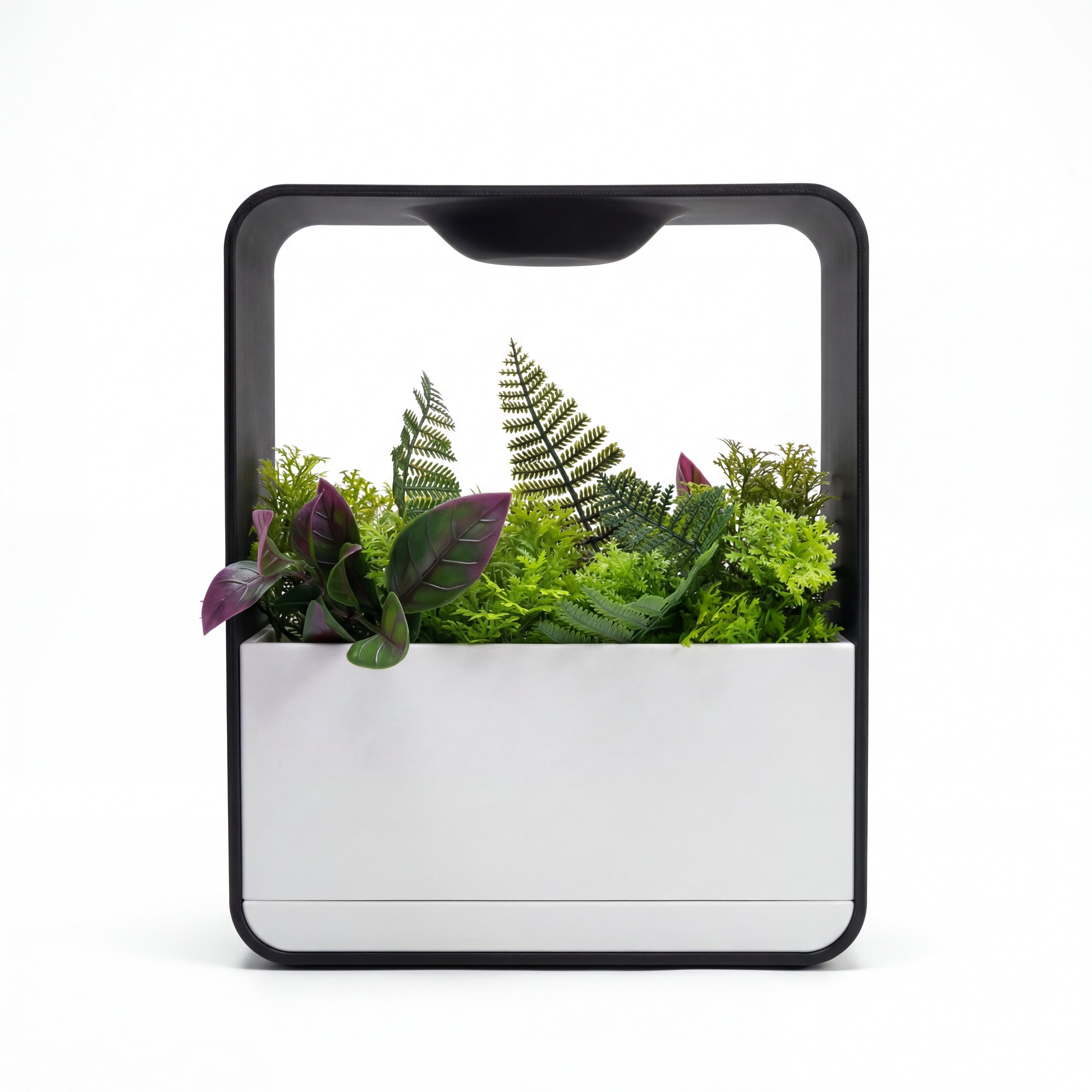 Rain POT