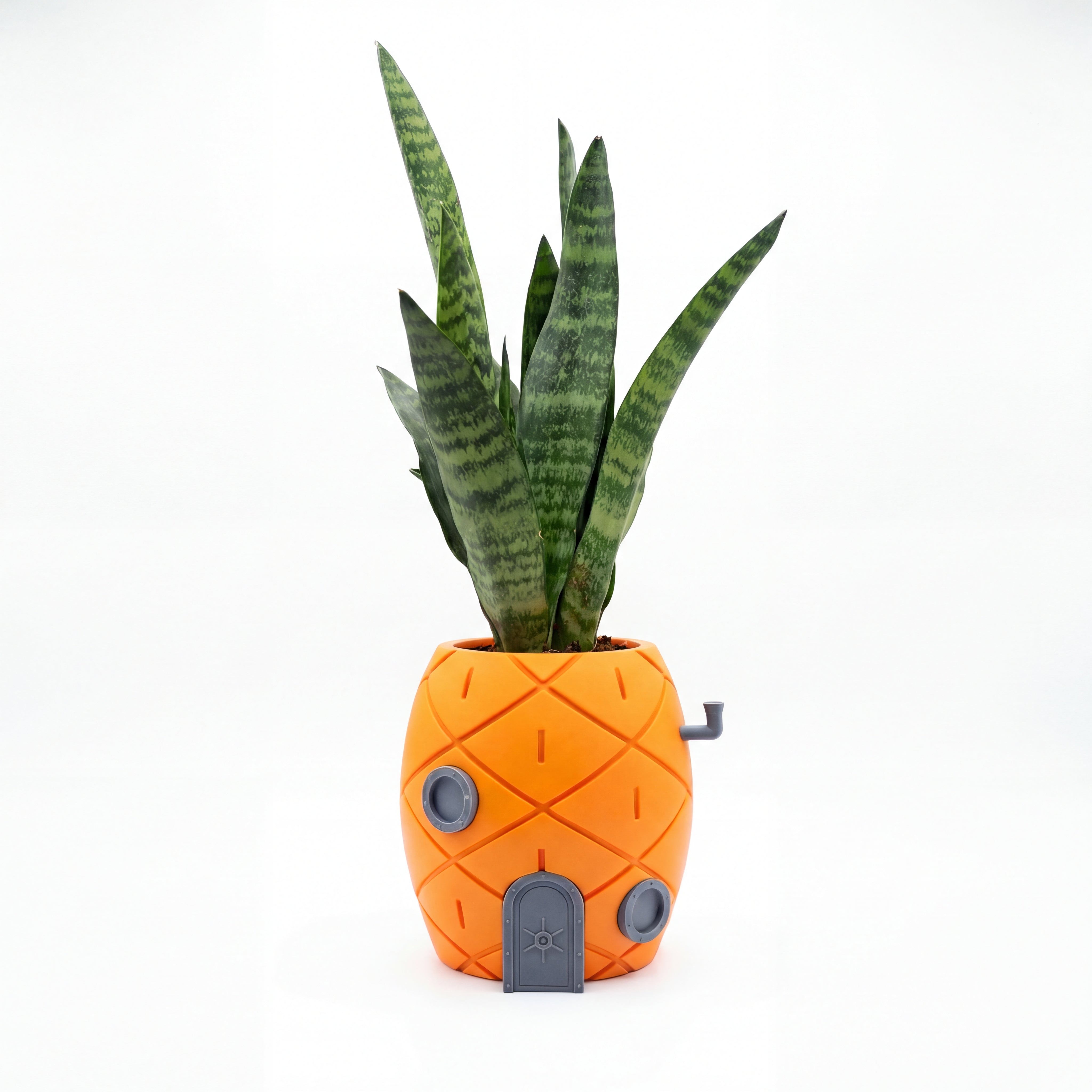 BIKINI POT BOB
