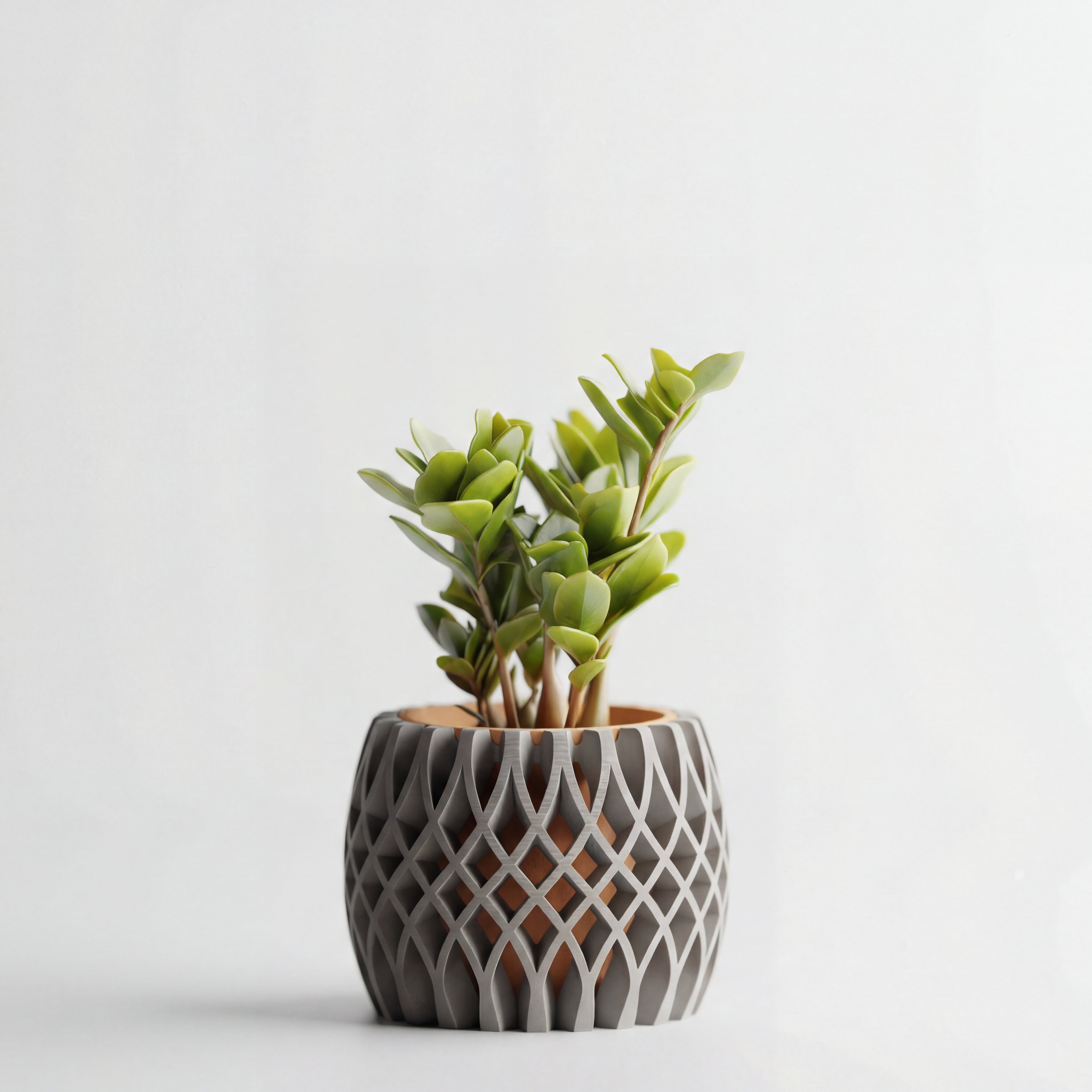 NEXA POT